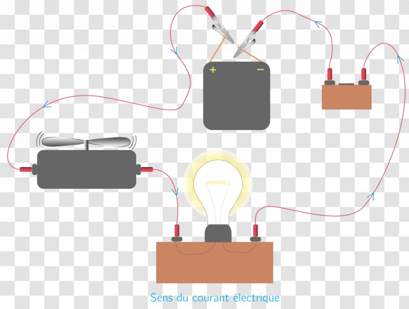 Electrical Cable Electric Current Network Electricity Conducteur - Homo Sapiens - Circule Transparent PNG