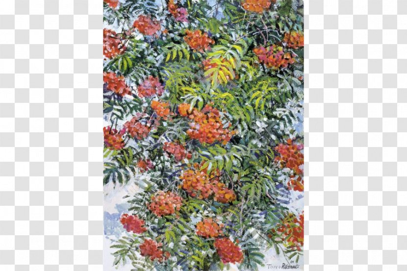 Flower Tree Shrub - Flora Transparent PNG