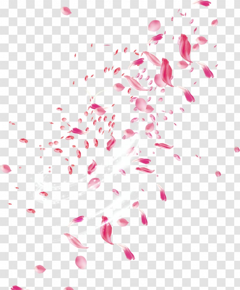 Petal Flower Pink - Flowers - Drift Rose Petals Transparent PNG