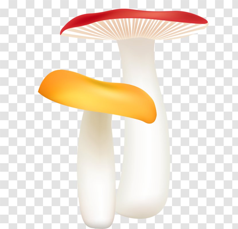 Mushroom Drawing Euclidean Vector - Image Resolution - Hand Drawn Mushrooms Transparent PNG
