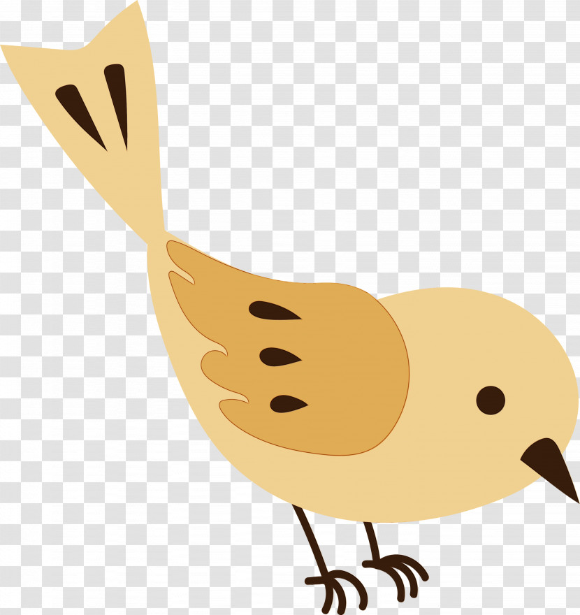 Chicken Ducks Water Bird Birds Beak Transparent PNG