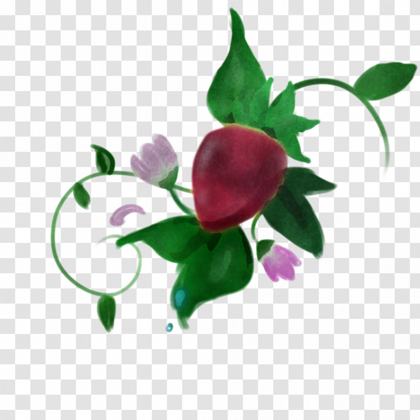 Garden Roses Transparent PNG