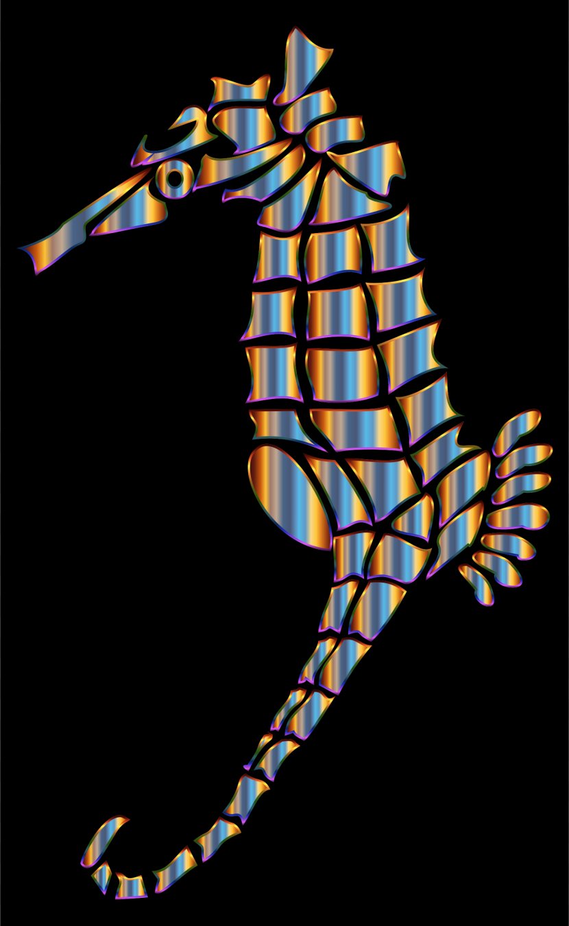 Seahorse Silhouette Clip Art - Symmetry Transparent PNG