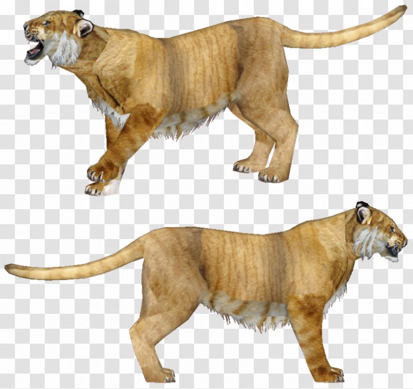 Lion Cat Wildlife Terrestrial Animal Fauna - Organism Transparent PNG