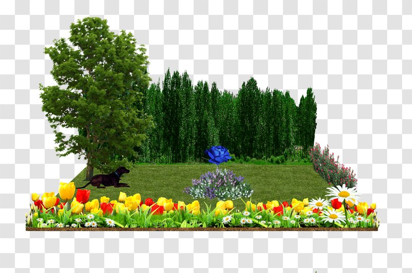Garden Landscaping - Wildflower - Nursery Transparent PNG