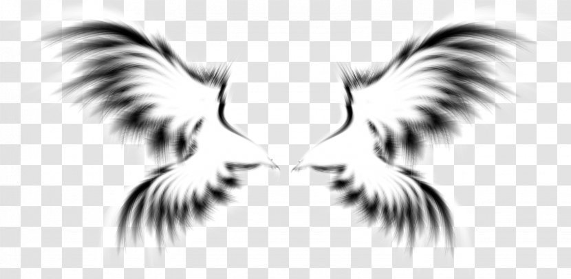 Hao Asakura Yoh Shaman King Character - Beak - Wings Transparent PNG