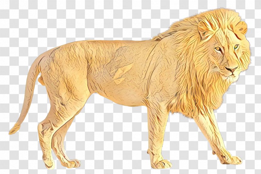 Lion Transparency Image Jaguar - Animal Figure Transparent PNG