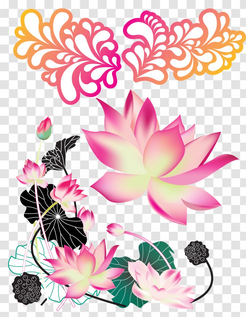 Nelumbo Nucifera Lotus Effect - Floral Design Transparent PNG