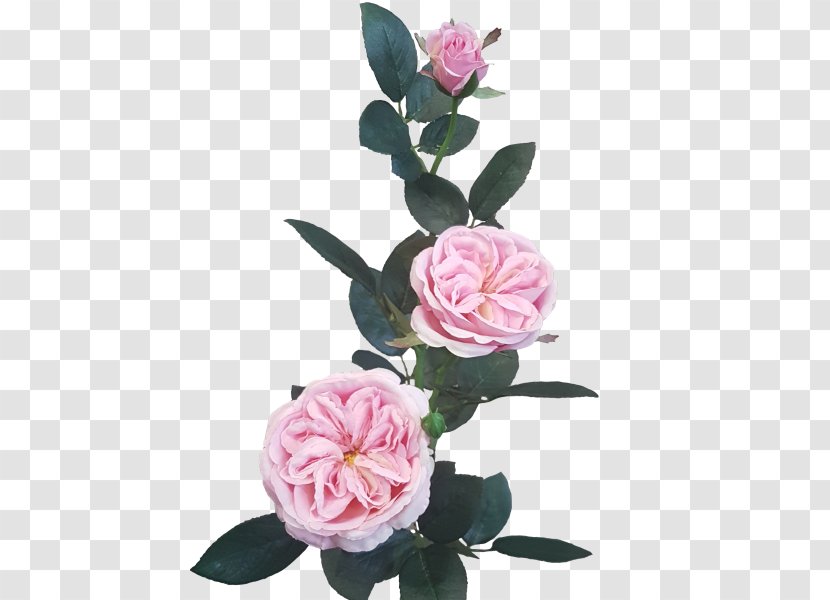 Cut Flowers Artificial Flower Garden Roses Floral Design - Flowering Plant -painted Material Transparent PNG