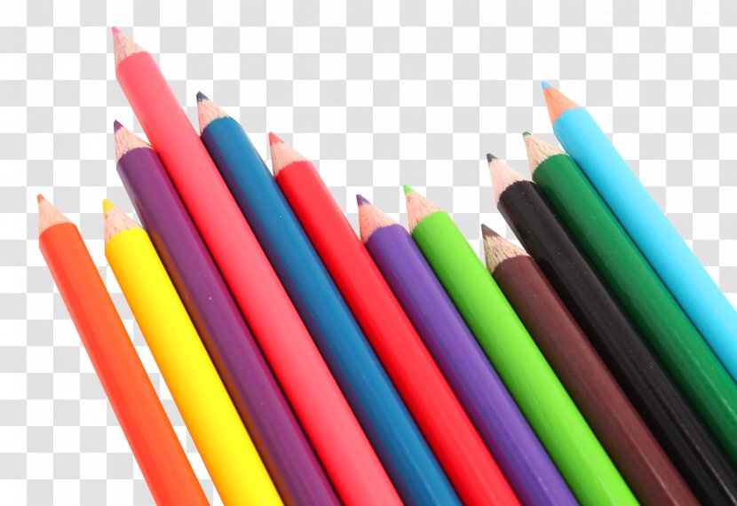 DHYANI ENTERPRISE Ahmedabad Pencil Paper Manufacturing - Velvet - Color Pencils Transparent PNG