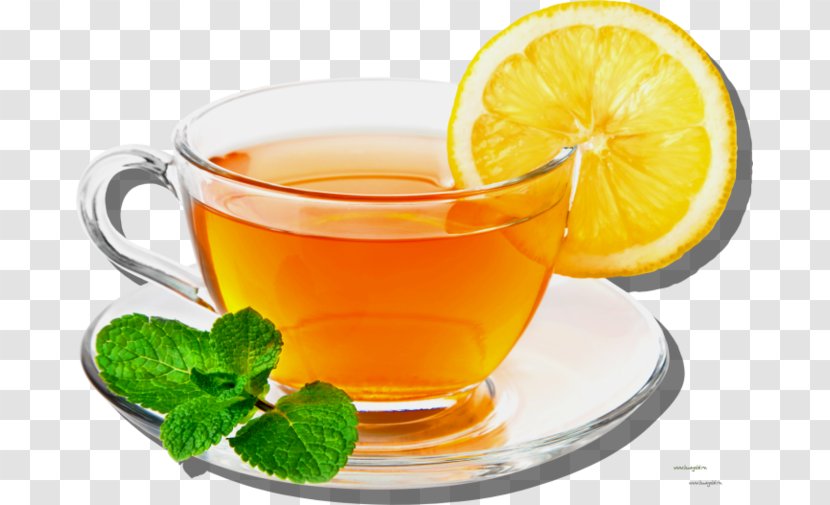 Green Tea White Lemon Transparent PNG