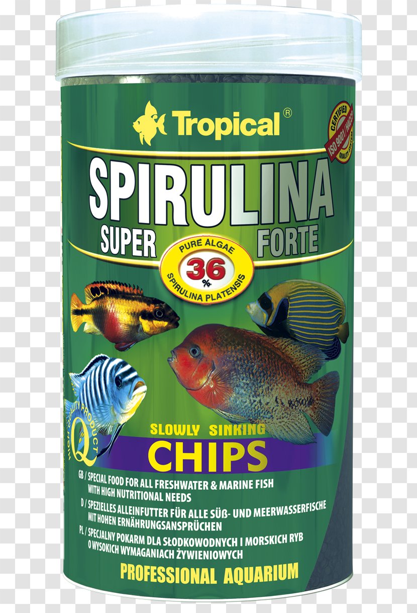 Spirulina Food Milliliter Algae Fish - Kelp - Crisps Transparent PNG