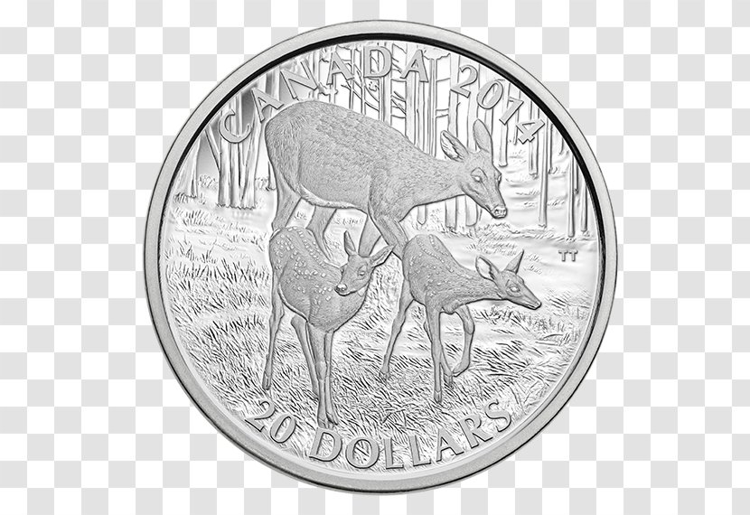 Silver Coin Canada White-tailed Deer Reindeer Transparent PNG