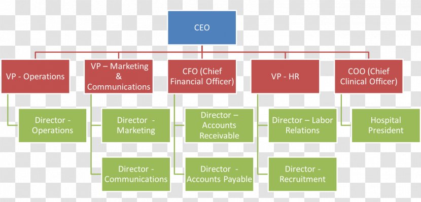 Organizational Chart Business Diagram - Element Transparent PNG