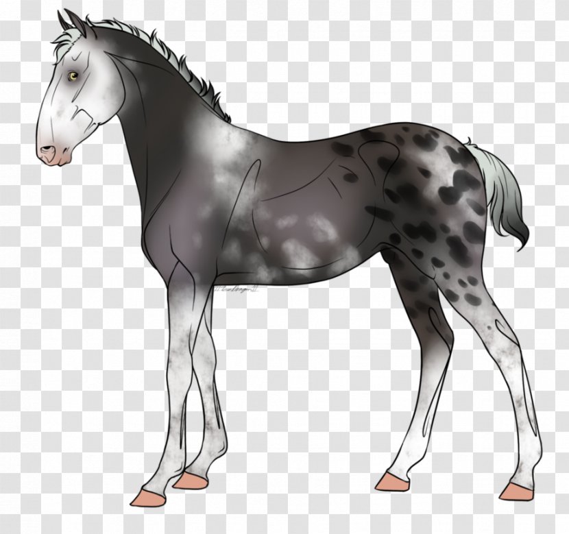 Stock Photography Ink Wash Painting Royalty-free Foal - Mustang Horse - Dog Transparent PNG
