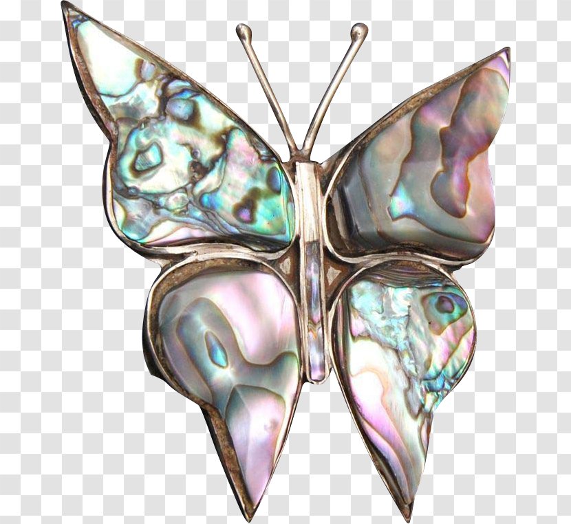 Brooch Moth Symmetry - Moths And Butterflies - Jim Sudal Ceramic Design Transparent PNG