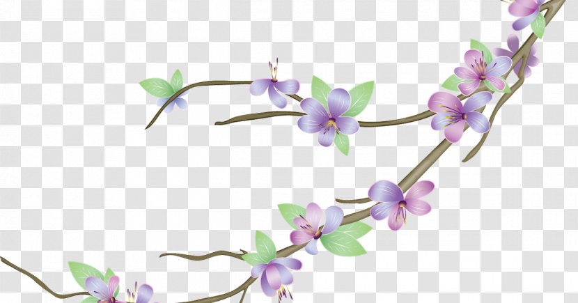 Photography Clip Art - Violet - Flower Transparent PNG