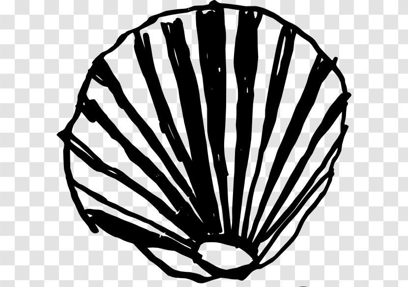 Seashell Clam Conch Clip Art - Shell Transparent PNG