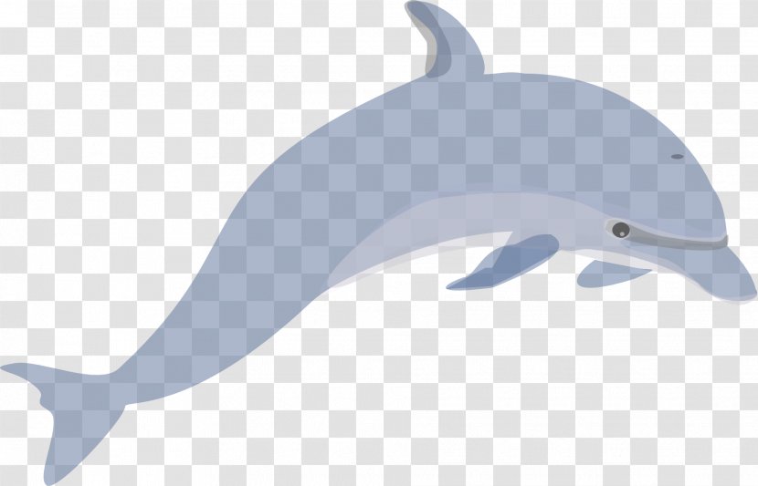 Dolphin Porpoise Killer Whale Clip Art - Cetacea Transparent PNG