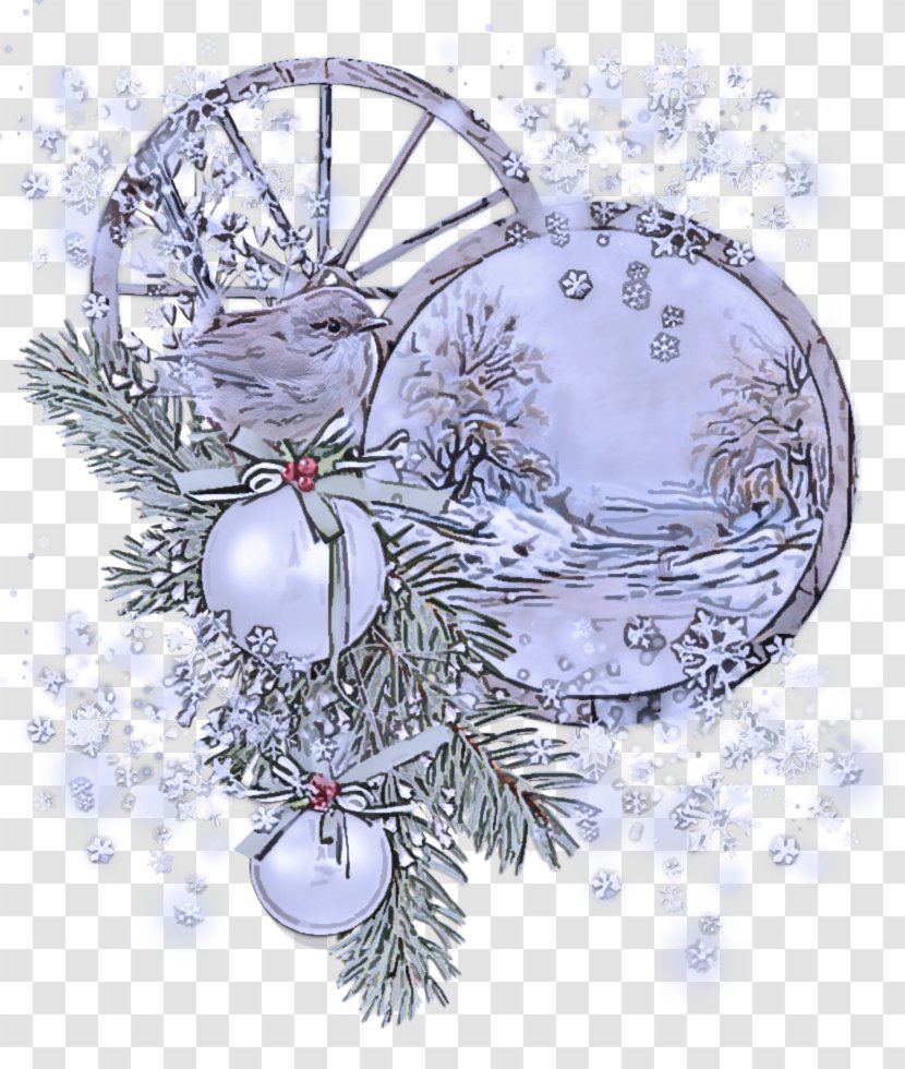 Christmas Ornament - Pine Family - Plant Transparent PNG