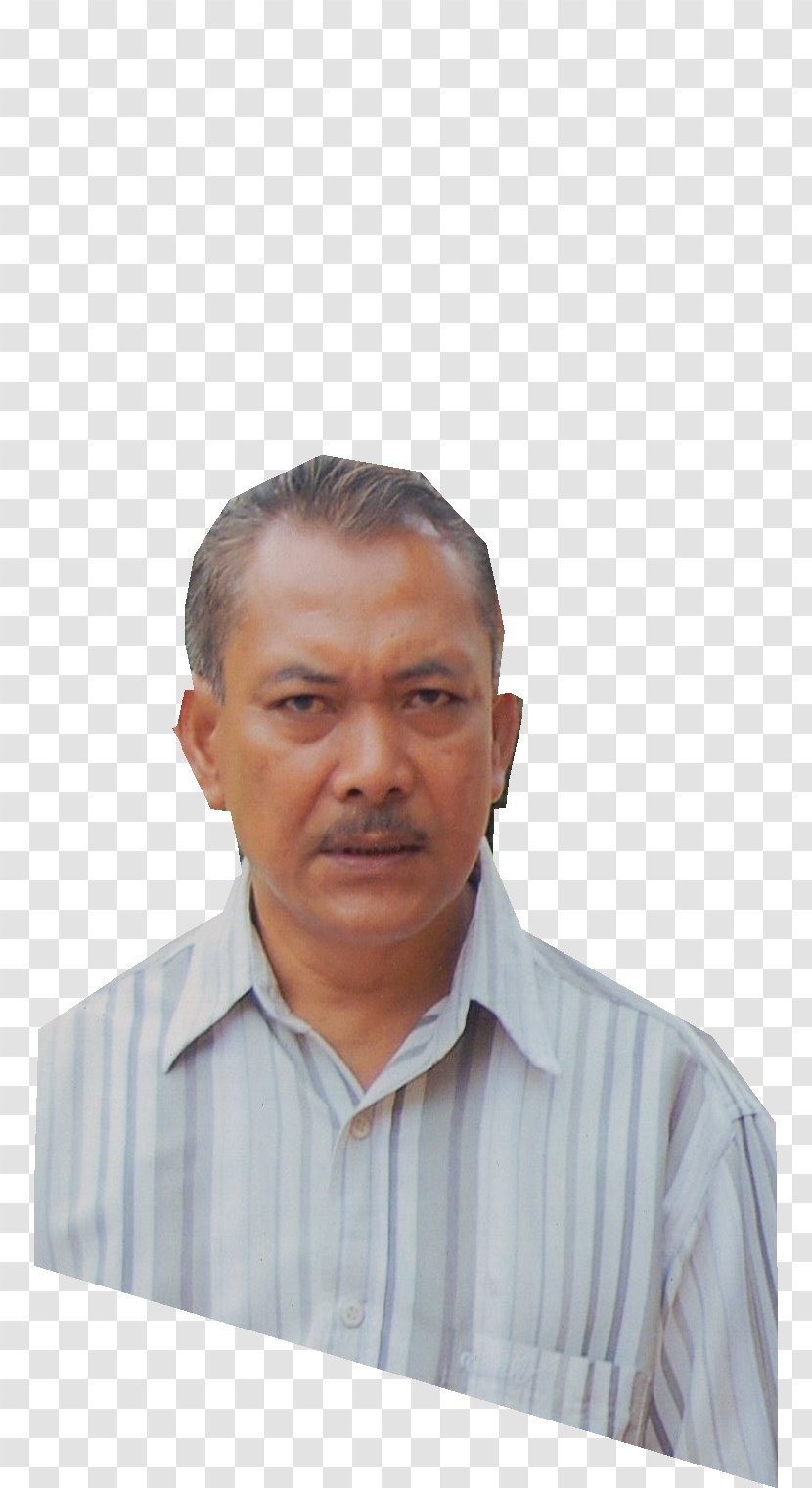 Asahan Regency Mangrove Journalist Forest News - Elder Transparent PNG