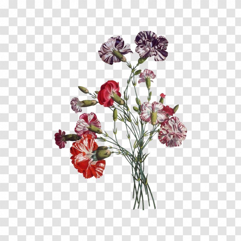 Paper Flower Bouquet Drawing Vintage Clothing - Painting - Of Flowers Transparent PNG