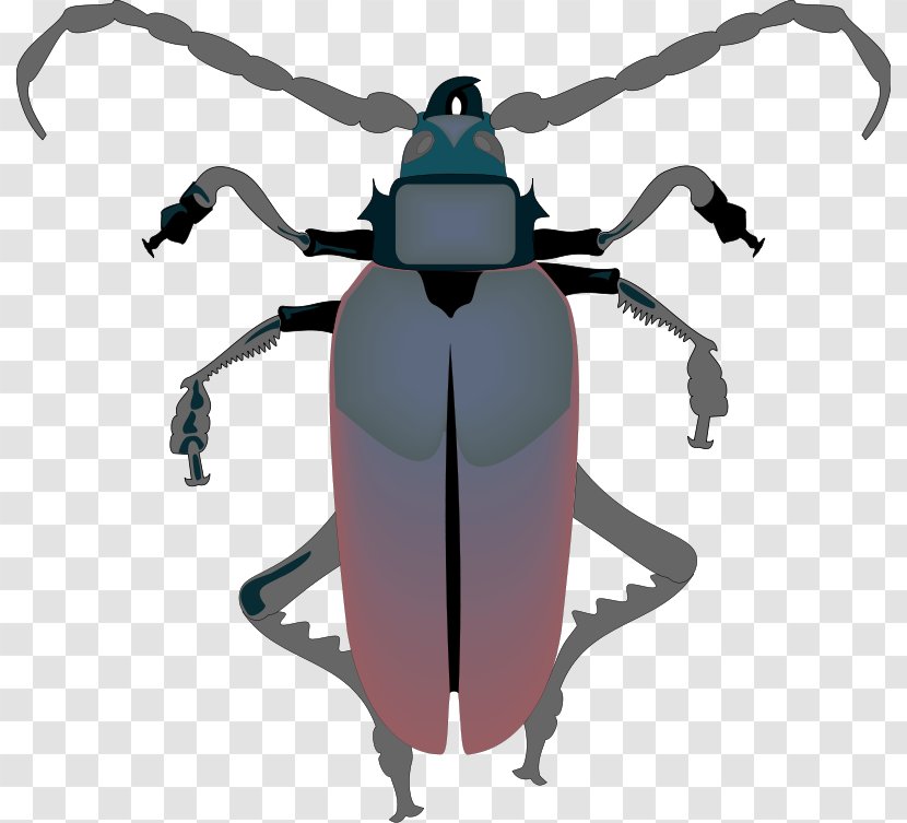 Cockroach Download Clip Art - Free Insect Photos Transparent PNG
