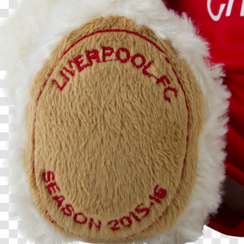 Fur Snout - Wool - Liverbird Liverpool Transparent PNG