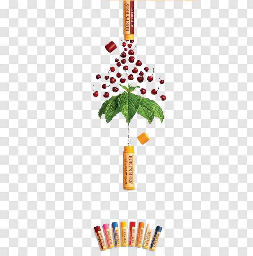 Lip Balm United States Burts Bees, Inc. Advertising - Honey Bee - Falling Cherry Transparent PNG