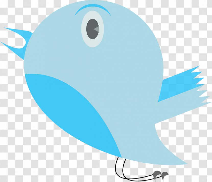 Bird Clip Art Pigeons And Doves Owl - Twitter Symbol Svg Vector Transparent PNG