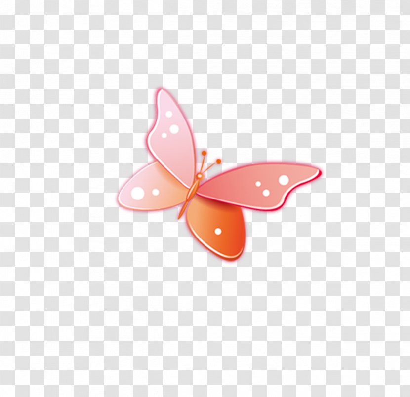 Butterfly Pattern - Orange Transparent PNG