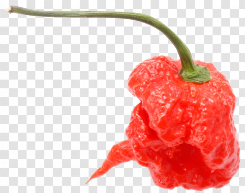 Chili Pepper Peperoncino Capsicum Annuum Carolina Reaper Scoville Unit - Akshay Kumar Transparent PNG