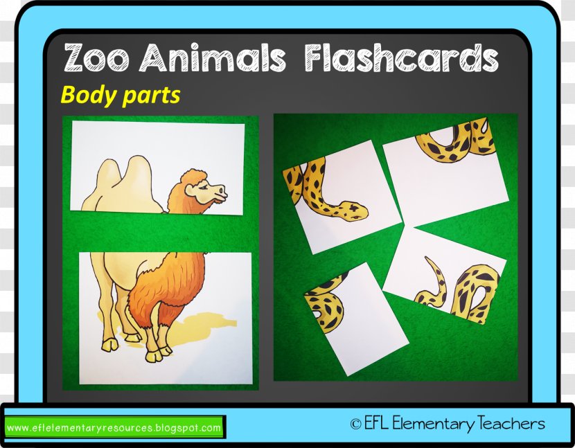 Flashcard English As A Second Or Foreign Language Animal Teacher Game - Art - Zoo Part Transparent PNG