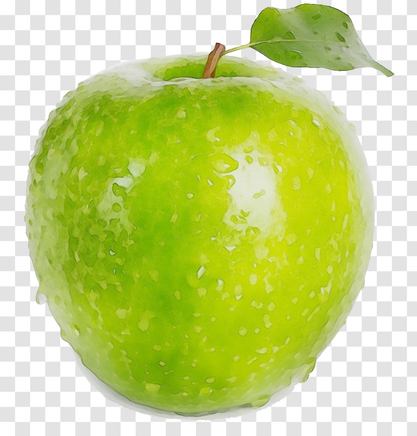 Granny Smith Fruit Apple Green Food - Paint - Tree Seedless Transparent PNG