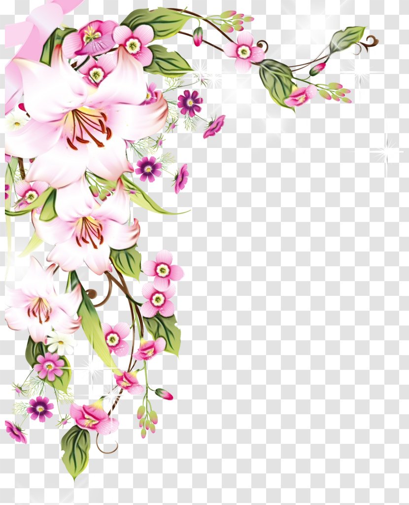 Floral Spring Flowers - Dendrobium - Prickly Rose Transparent PNG