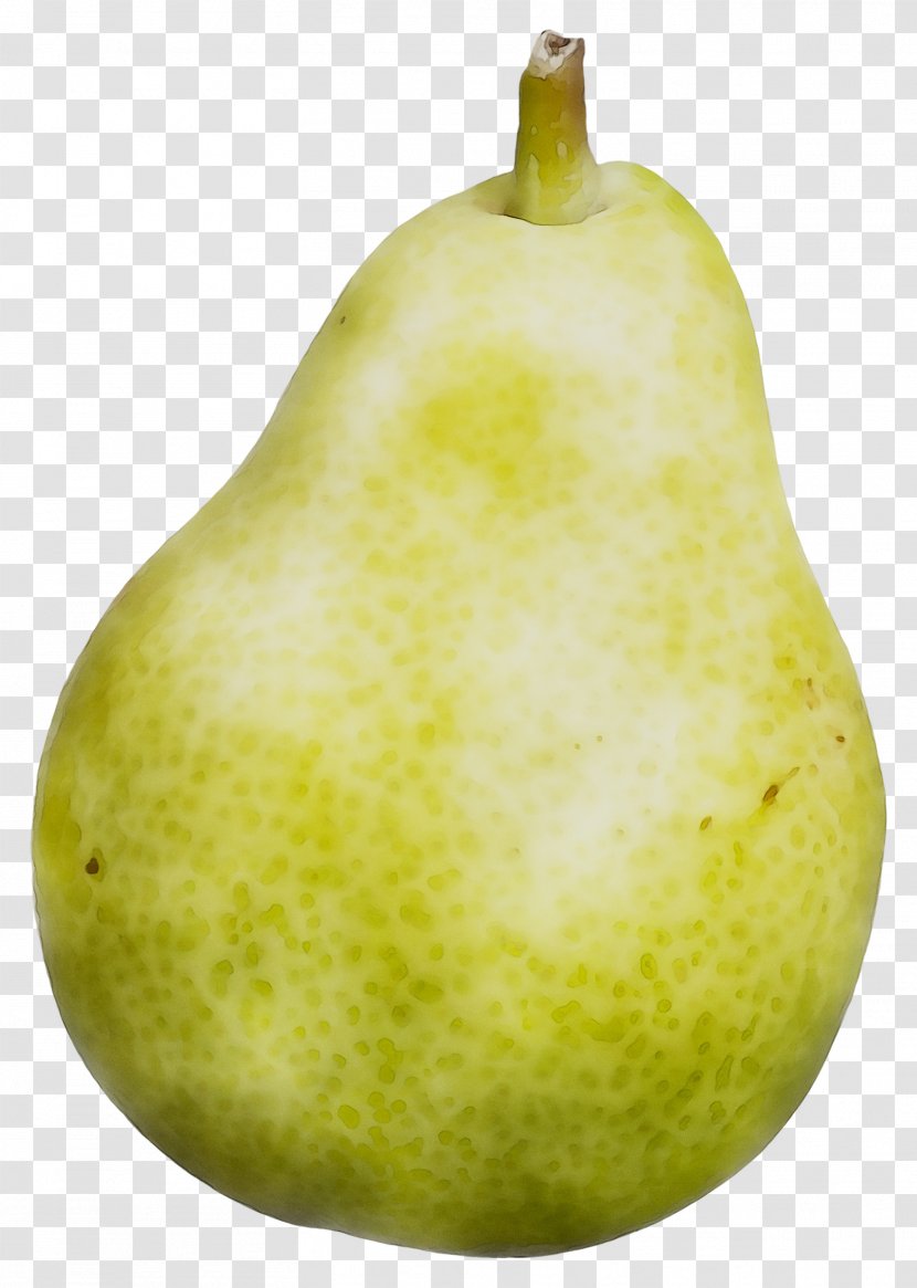 Pear Still Life Photography Apple Fahrenheit - Natural Foods - Tree Transparent PNG