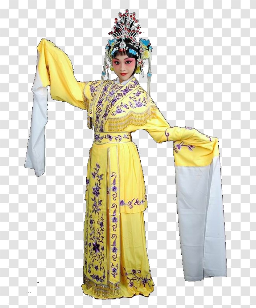 Robe Costume Design Tradition - Profession Transparent PNG