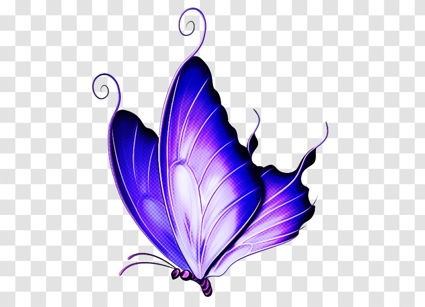 Butterfly Violet Purple Insect Moths And Butterflies - Ornament Wing Transparent PNG