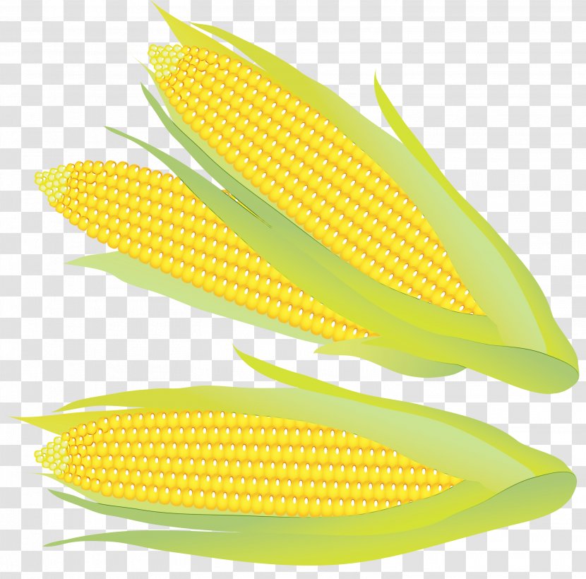 Watercolor Plant - Corn On The Cob - Vegetarian Food Transparent PNG