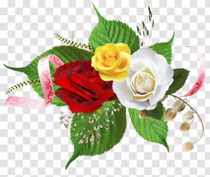 Garden Roses Cut Flowers Floral Design - Rose - Flower Transparent PNG