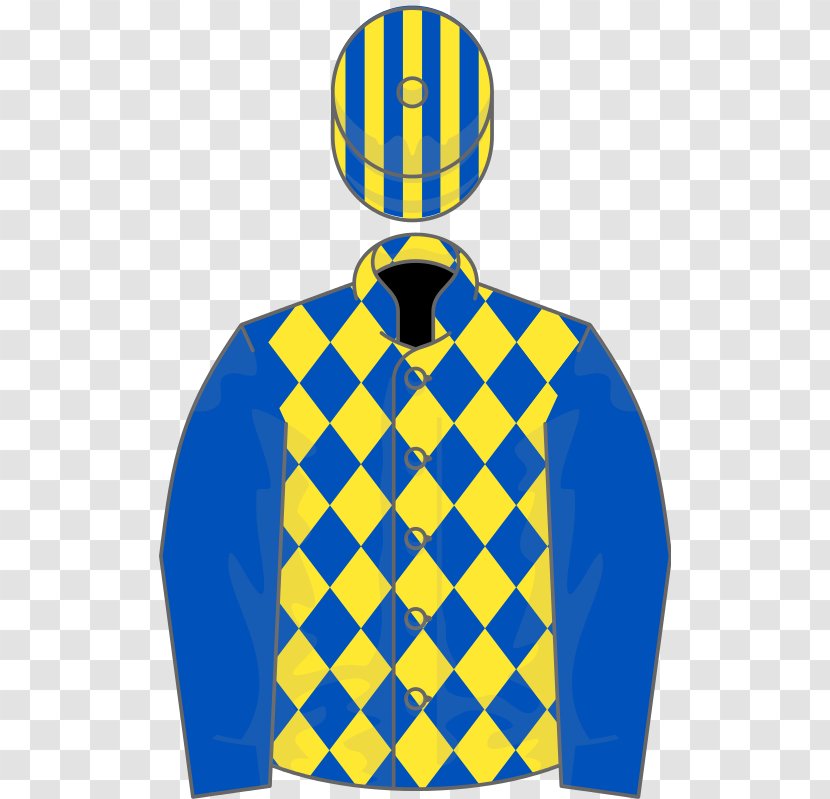 Birthday Ascot Racecourse Thoroughbred National Hunt Racing Horse - Yellow Transparent PNG