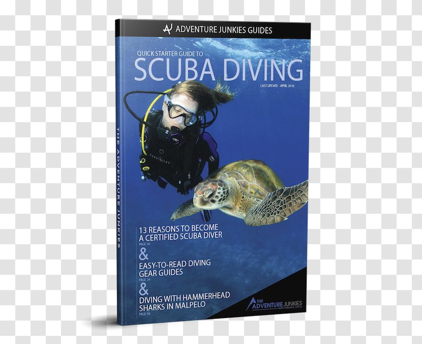 Marine Biology Andaman Sea Scuba Diving Underwater Photography Transparent PNG