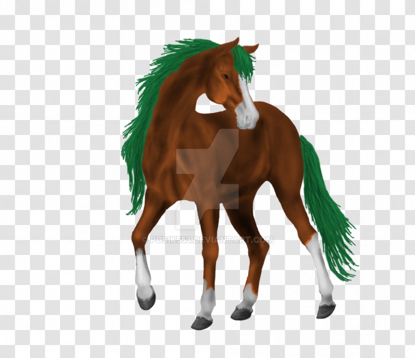 Mane Mustang Foal Stallion Colt - Rein - Arabian Horse Transparent PNG