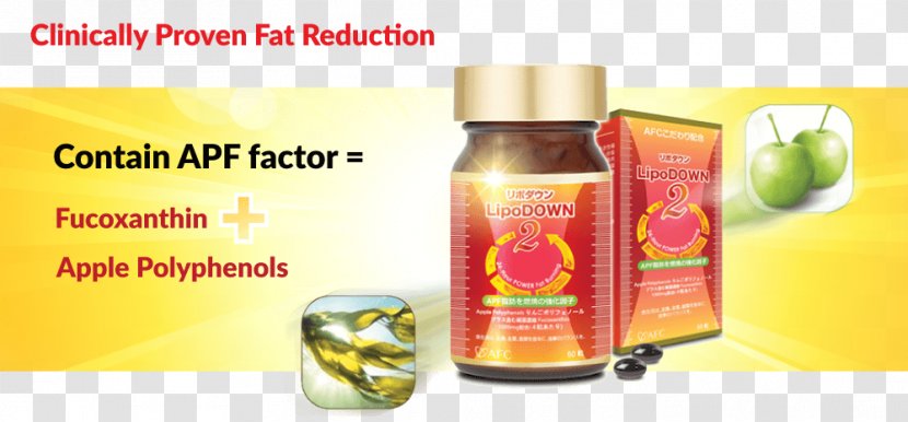 B Vitamins Health Anti-obesity Medication Cordyceps - Fast Food Diet Transparent PNG