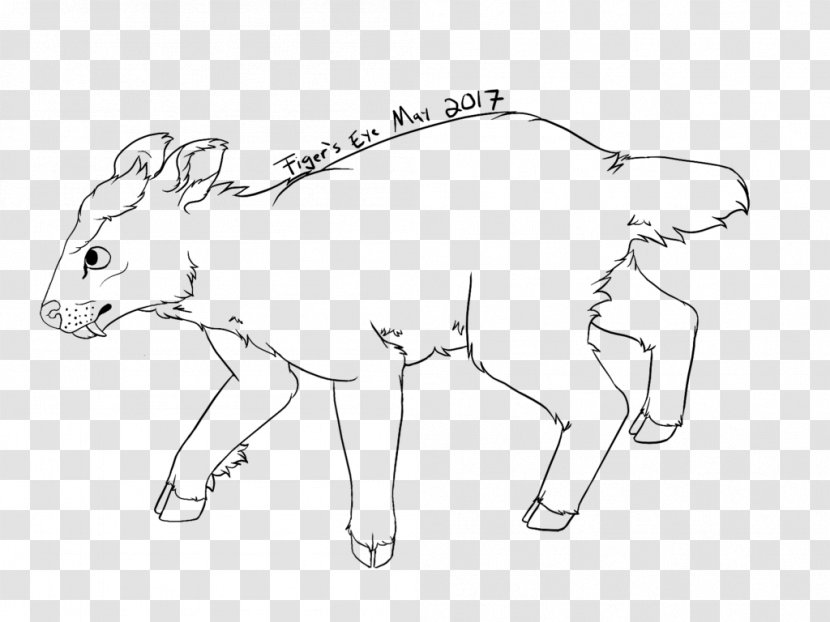 Hare Mammal Mustang Drawing Line Art Transparent PNG