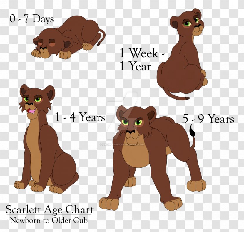 Lion Bear Dog Canidae Cat - Animal Figure Transparent PNG