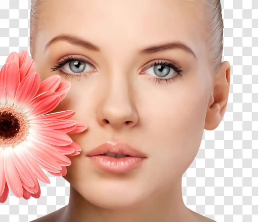 Face Skin Cheek Nose Eyelash - Eyebrow - Chin Eye Transparent PNG