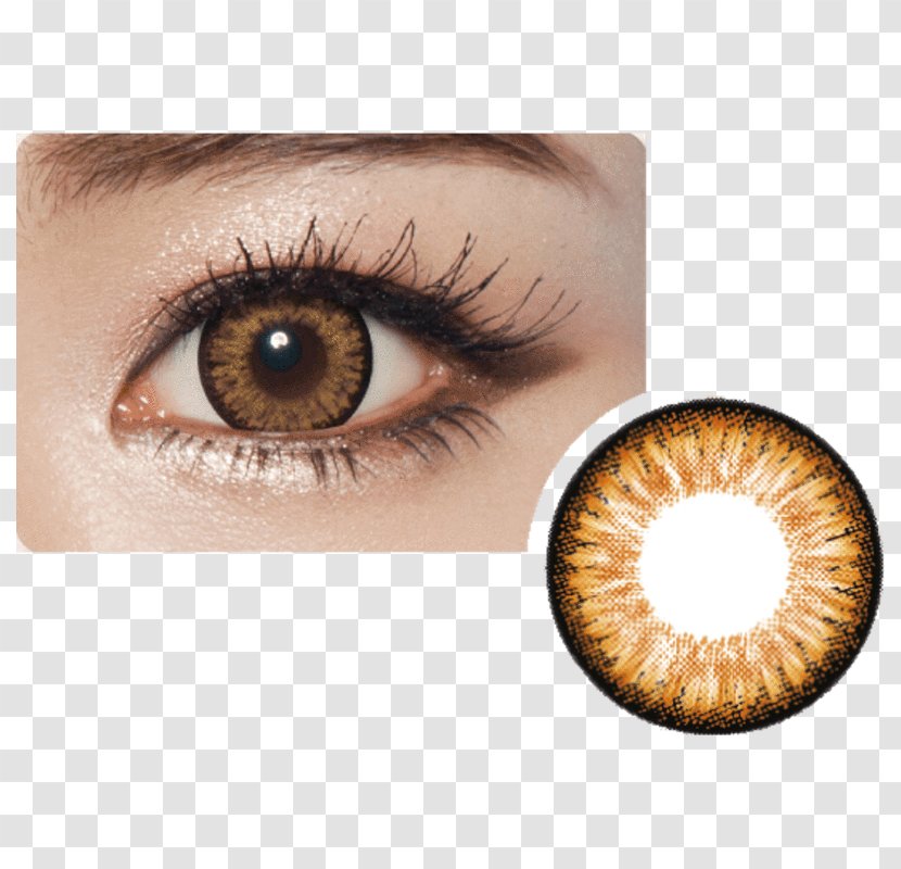 Contact Lenses Circle Lens Brown Hazel - Ophthalmology Transparent PNG