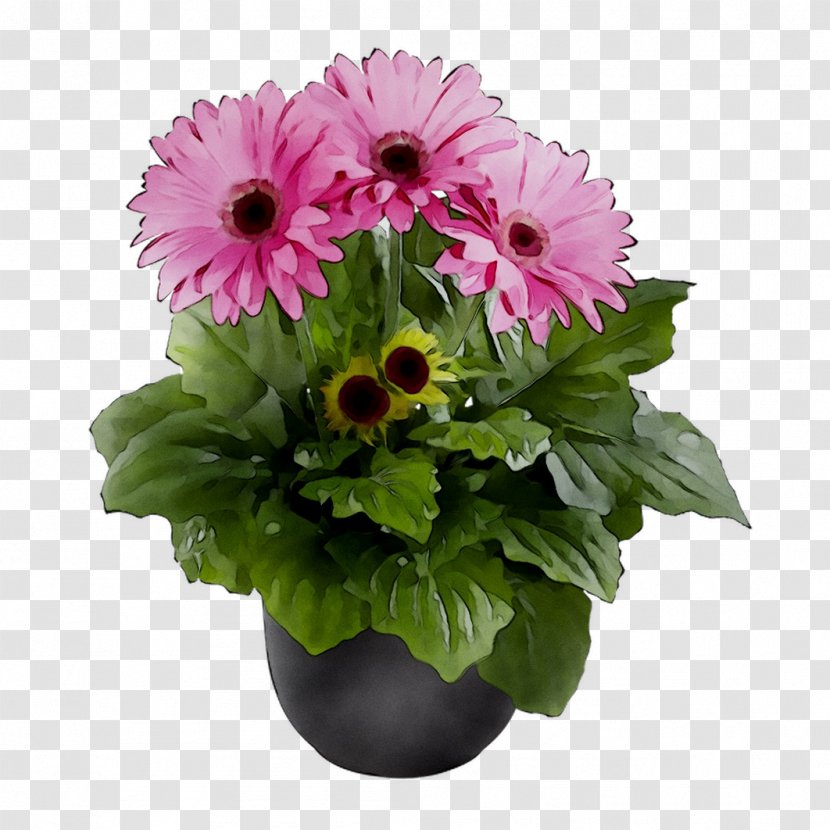 Transvaal Daisy Floral Design Cut Flowers Chrysanthemum - Gerbera - Barberton Transparent PNG