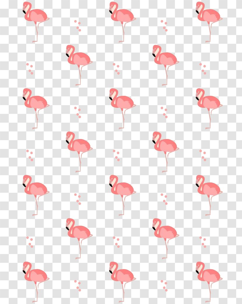 Flamingos Drawing Bird - Product Transparent PNG